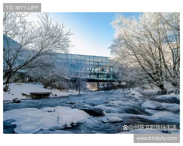 开云入口为用户打造专属奢华体验，开启高端品牌的无限可能
