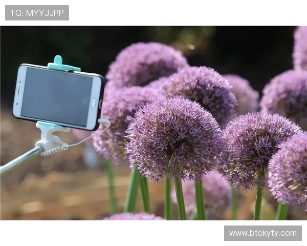 春季开云app官网下载入口优惠,抓住机会领取限时促销活动 春季开云app官网下载入口优惠,抓住机会领取限时促销活动